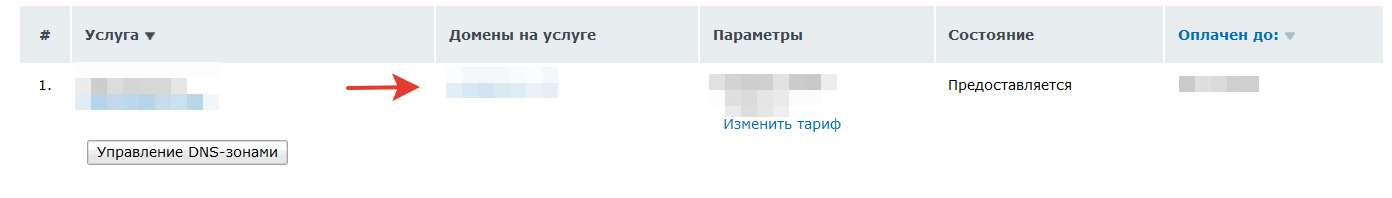 Пример домена в панели nic.ru